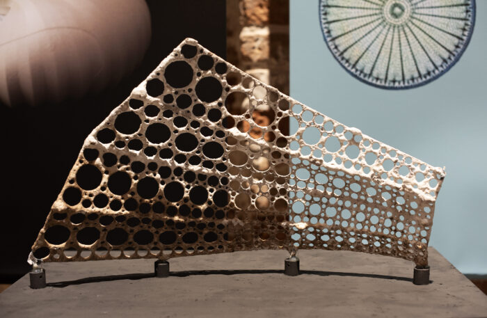 The Biorock Pavilion at the Venice Biennale 2025